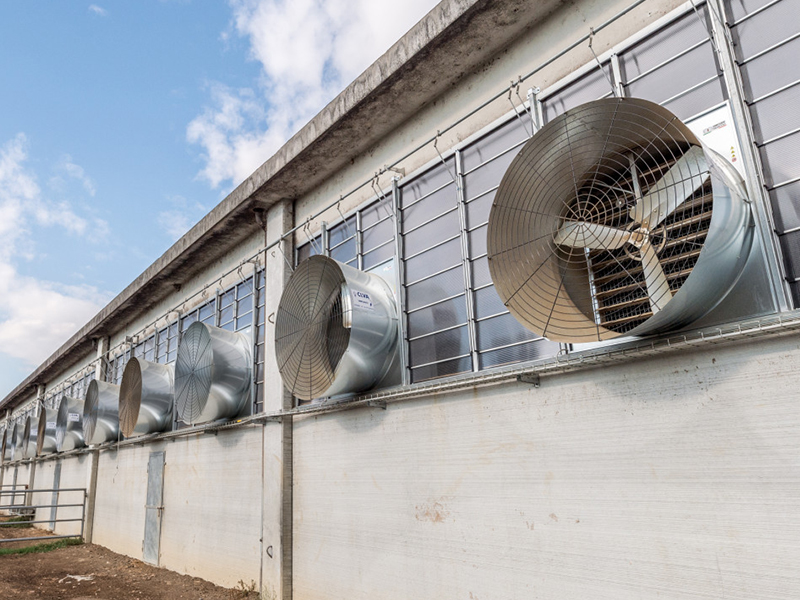 Cooling & Cross-Ventilation first installation in EU exhaust fans for cows - Pericoli