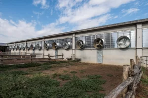 Estrattore a cono con ventilazione mirata e potente