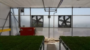 Estrattore d'aria a cinghia con carrozzeria INOX per serre