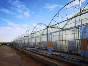 Estrattore d'aria INOX con trazione a cinghia per grandi volumi