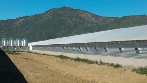 Oscuratore ventilatori e prese d’aria per gestione ottimale del clima.