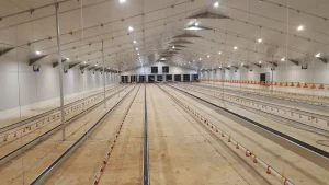 Oscuratore ventilatori e prese d’aria per climatizzazione efficace.