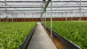 Supporto pannelli evaporativi con gronda AISI 304 in acciaio