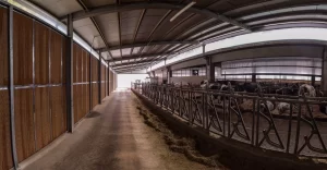 Pannello evaporativo in cellulosa per impianti zootecnici
