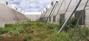 Serranda di ripresa d’aria motorizzata per ambienti agricoli