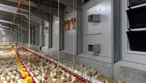 Generatore d’aria calda a gas con basso impatto ambientale