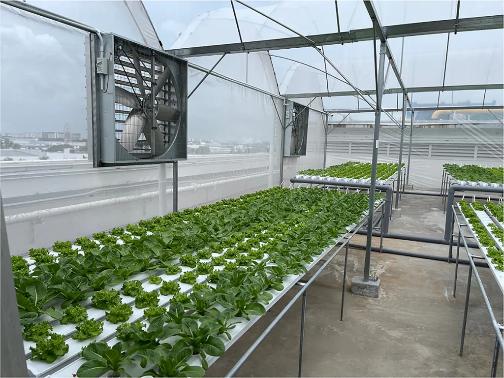 exhaust fans in a urban greenhouses in malaysia