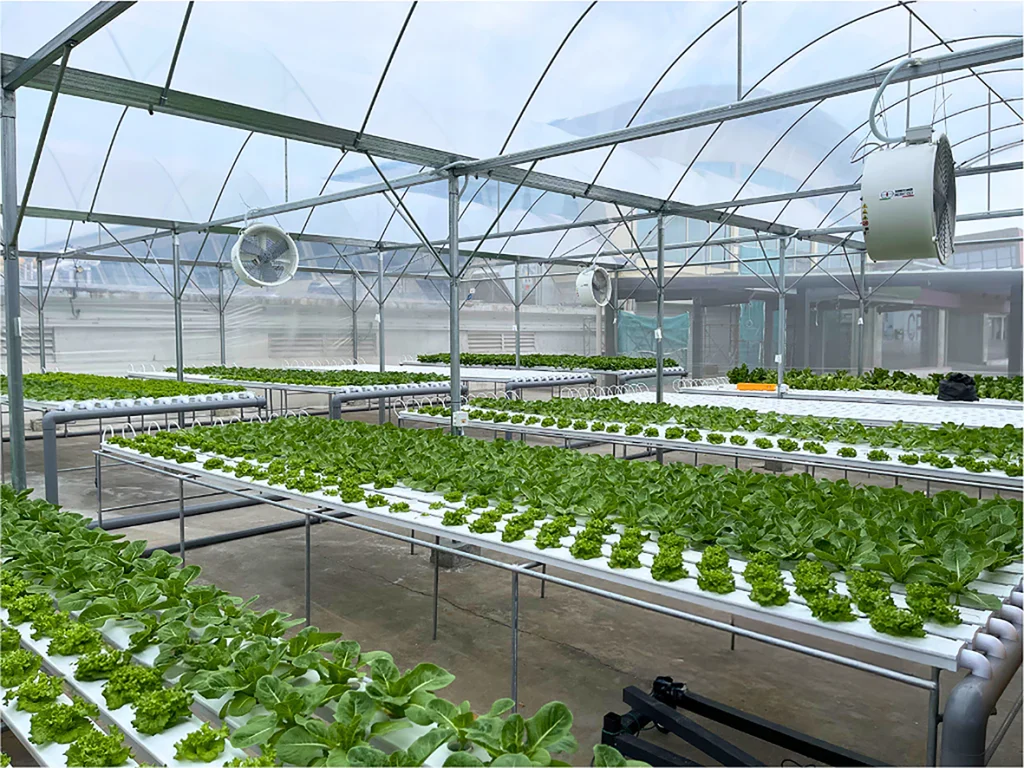 Plastic air circulation fans in a urban greenhouses located in malaysia