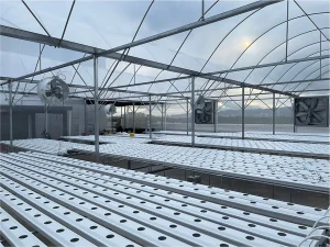 procetto city farm in asia con estrattori ews in serra